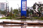 Hơn 1,8 triệu khách hàng của Điện lực miền Bắc đã có điện trở lại