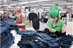 Việt Nam vượt kỳ vọng quốc tế với mức tăng trưởng GDP 8,23%