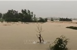 Lũ lớn trên sông Cầu, sông Thương, các địa phương khẩn cấp ứng phó