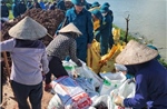 Khẩn trương xử lý khắc phục sự cố vỡ đê bối tại Tiên Lục (Bắc Ninh)