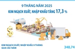 Kim ngạch xuất, nhập khẩu tăng 17,3%
