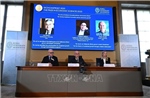 Nobel 2025: Phá hủy mang tính sáng tạo - động lực cho sự tăng trưởng bền vững