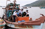 Thủ tướng yêu cầu tập trung thực hiện tháng cao điểm chống khai thác hải sản bất hợp pháp