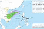 Bão số 12 tăng cấp, cách Hoàng Sa khoảng 460km