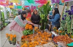 Lễ hội &#39;Ngày Người chết&#39; tại thủ đô Mexico City
