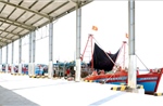 Khắc phục &#39;thẻ vàng&#39; IUU: Ninh Bình triển khai nhiều giải pháp trong tháng cao điểm