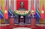 Tuyên bố chung Việt Nam-Nam Phi