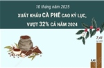10 tháng năm 2025: Xuất khẩu cà phê cao kỷ lục, vượt 32% cả năm 2024