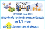 Đầu tư của Việt Nam ra nước ngoài đạt 1,1 tỷ USD
