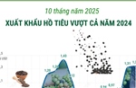 10 tháng/2025: Xuất khẩu hồ tiêu vượt cả năm 2024