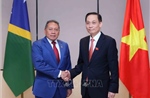 Thúc đẩy quan hệ hữu nghị và hợp tác giữa Việt Nam và Solomon