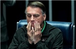 Cựu Tổng thống Brazil Jair Bolsonaro giải trình hành vi tháo vòng giám sát điện tử