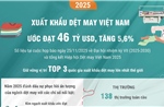 Xuất khẩu dệt may Việt Nam năm 2025 ước đạt 46 tỷ USD, tăng 5,6%