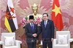 Chủ tịch Quốc hội Trần Thanh Mẫn hội kiến Quốc vương Brunei