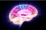 Phát hiện protein giúp bảo vệ sức khỏe não bộ khi lão hóa