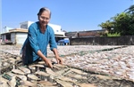 Làng nghề cá khô ven biển tăng công suất gấp 3 lần phục vụ Tết