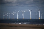 10 nước châu Âu bắt tay xây dựng 'Siêu lưới điện' gió tại Biển Bắc