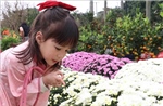 Hương xuân lan tỏa từ chợ hoa Tết