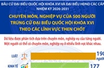 Chuyên môn của 500 người trúng cử đại biểu Quốc hội theo các lĩnh vực then chốt