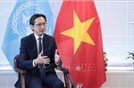Khẳng định mối quan hệ Đối tác chiến lược toàn diện ngày càng chặt chẽ, hiệu quả giữa Việt Nam và Nhật Bản