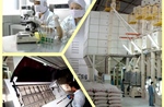 Từ xuất khẩu truyền thống đến cuộc chơi giá trị cao của Afiex