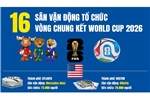 16 sân vận động tổ chức vòng chung kết World Cup 2026