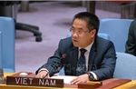 Việt Nam kêu gọi đối thoại và trung gian hòa giải nhằm thúc đẩy hòa bình bền vững ở Trung Đông