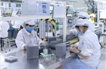 Nghị quyết 10-NQ/TW - cuộc nâng cấp chiến lược dòng vốn FDI
