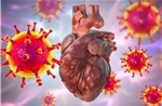 Cảnh báo virus cảm cúm thông thường cũng có thể gây viêm cơ tim nguy hiểm