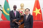 Việt Nam luôn trân trọng quan hệ hữu nghị, truyền thống với các quốc gia châu Phi