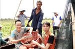 Khám phá nét văn hóa độc đáo giữa 'Đồng Tháp Mười thu nhỏ'