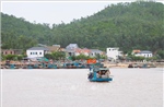 Dấu ấn văn hóa miền biển 
