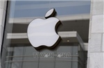 Doanh thu của Apple tại Ấn Độ lần đầu vượt 10 tỷ USD