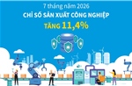 7 tháng năm 2026: Chỉ số sản xuất công nghiệp tăng 11,4%