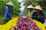 Phụ nữ phát triển kinh tế xanh