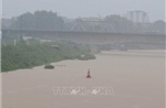 Bắc Ninh phát lệnh báo động lũ cấp III trên sông Lục Nam và sông Thương