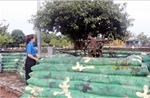 Lớp học lịch sử đặc biệt cho thế hệ trẻ