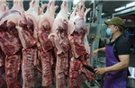 TP Hồ Chí Minh tăng cường kiểm soát giết mổ, bảo vệ an toàn thực phẩm Tết