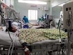 TP Hồ Chí Minh: Ca sốt xuất huyết nặng tăng 500%
