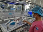 TP Hồ Chí Minh: Báo động đỏ liên viện cứu sống hai mẹ con sản phụ bị sản giật nguy kịch