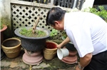 TP Hồ Chí Minh ghi nhận hơn 25.500 trường hợp mắc sốt xuất huyết