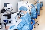 Thường xuyên tiếp xúc với hoá chất độc hại có thể tăng nguy cơ vô sinh ở nam giới