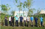 Ngày hội trồng cây ‘Chung tay vì tương lai xanh’