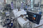 Cảnh báo viêm cơ tim tối cấp ở trẻ em trong thời điểm giáp Tết