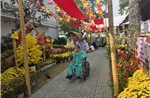 Đường hoa Xuân tại Bệnh viện Chợ Rẫy mang Tết sớm đến bệnh nhân