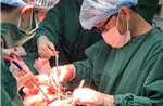 TP Hồ Chí Minh: Cứu sống bệnh nhân đa chấn thương, đứt lìa động mạch cổ