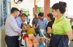 Vĩnh Long thí điểm phát triển chuỗi giá trị ngành hàng mít