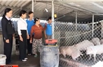 Đồng hành cùng người dân trên hành trình giảm nghèo bền vững