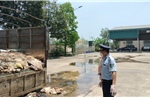 Thanh Hoá: Phát hiện gần 5 tấn da trâu, da bò không rõ nguồn gốc xuất xứ 