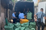 Hà Nội: Tạm giữ 800 kg trứng gà non, tràng gà đông lạnh không rõ nguồn gốc 